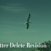 不要なリビジョン一気削減／WPプラグイン「Better Delete Revision」
